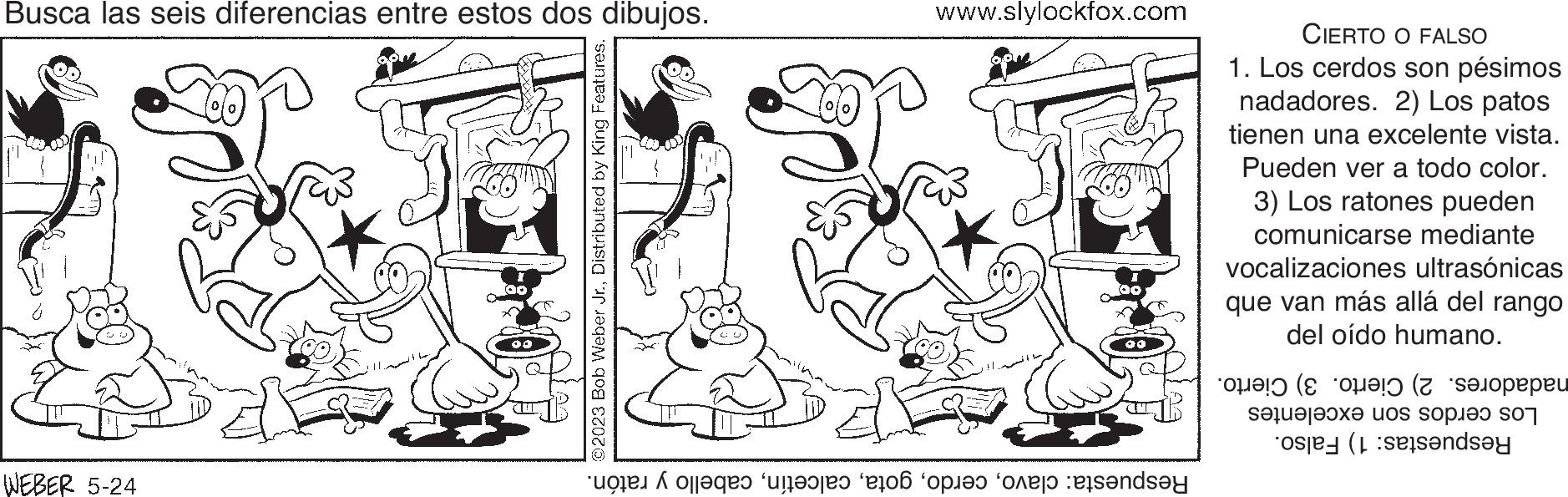 Interaction OCR: Busca las seis diferencias entre estos dos dibujos. WEBER 5-24 ©2023 Bob Weber Jr.Distributed by King Features. www.slylockfox.com to the top and CIERTO O FALSO 1. Los cerdos son pésimos nadadores. 2) Los patos tienen una excelente vista. Pueden ver a todo color. 3) Los ratones pueden comunicarse mediante vocalizaciones ultrasónicas que van más allá del rango del oído humano. te ( a peu sette op ande Busca las seis diferencias entre estos dos dibujos . WEBER 5-24 © 2023 Bob Weber Jr.Distributed by King Features . www.slylockfox.com to the top and CIERTO O FALSO 1. Los cerdos son pésimos nadadores . 2 ) Los patos tienen una excelente vista . Pueden ver a todo color . 3 ) Los ratones pueden comunicarse mediante vocalizaciones ultrasónicas que van más allá del rango del oído humano . te ( a peu sette op ande