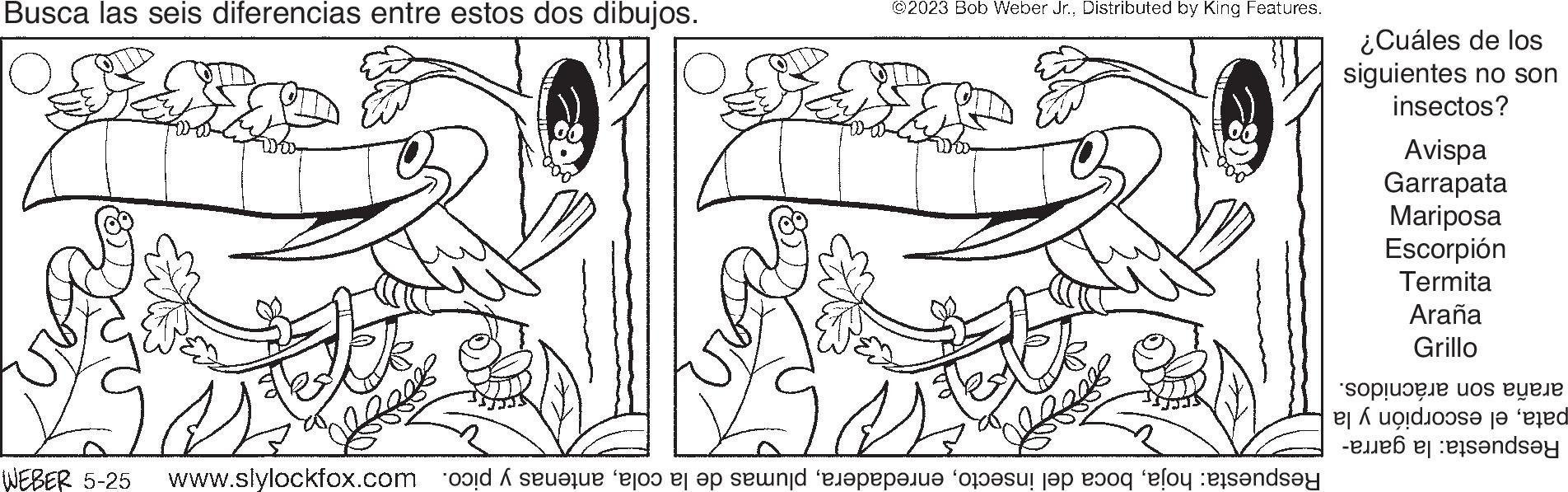 Adaptation OCR: Busca las seis diferencias entre estos dos dibujos. WEBER 5-25 H ©2023 Bob Weber Jr.Distributed by King Features. kal Respuesta: hojaantenas y pico. wooxoxojás'mmM ¿Cuáles de los siguientes no son insectos? Avispa Garrapata Mariposa Escorpión Termita Araña Grillo araña son arácnidos. patael escorpión y la Respuesta: la garra- Busca las seis diferencias entre estos dos dibujos . WEBER 5-25 H © 2023 Bob Weber Jr.Distributed by King Features . kal Respuesta : hojaboca del insectoplumas de la colaantenas y pico . wooxoxojás'mmM ¿ Cuáles de los siguientes no son insectos ? Avispa Garrapata Mariposa Escorpión Termita Araña Grillo araña son arácnidos . patael escorpión y la Respuesta : la garra