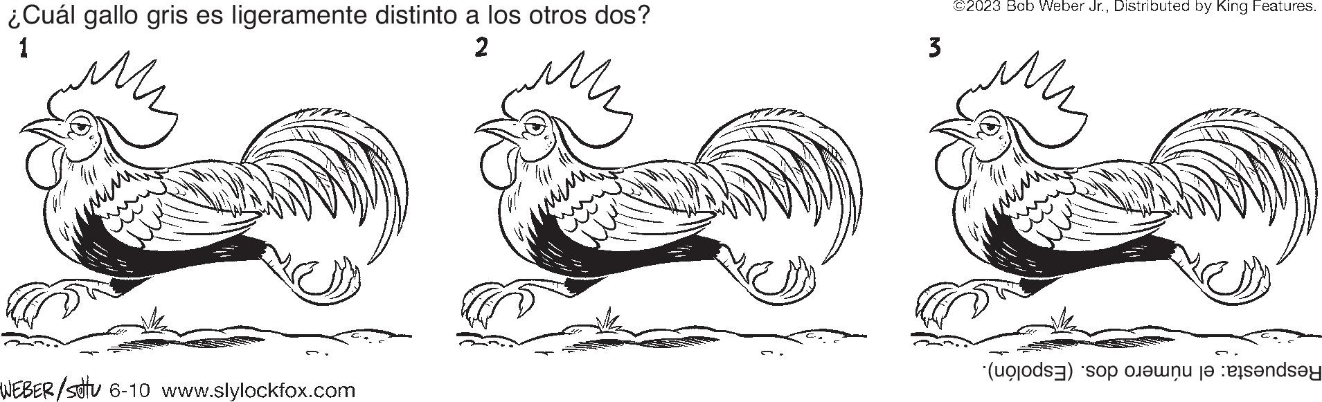 Comb OCR: ¿Cuál gallo gris es ligeramente distinto a los otros dos? 1 2 WEBER/stu 6-10 www.slylockfox.com 3 ©2023 Bob Weber Jr.Distributed by King Features. (s) en tende ¿ Cuál gallo gris es ligeramente distinto a los otros dos ? 1 2 WEBER / stu 6-10 www.slylockfox.com 3 © 2023 Bob Weber Jr.Distributed by King Features . ( s ) en tende