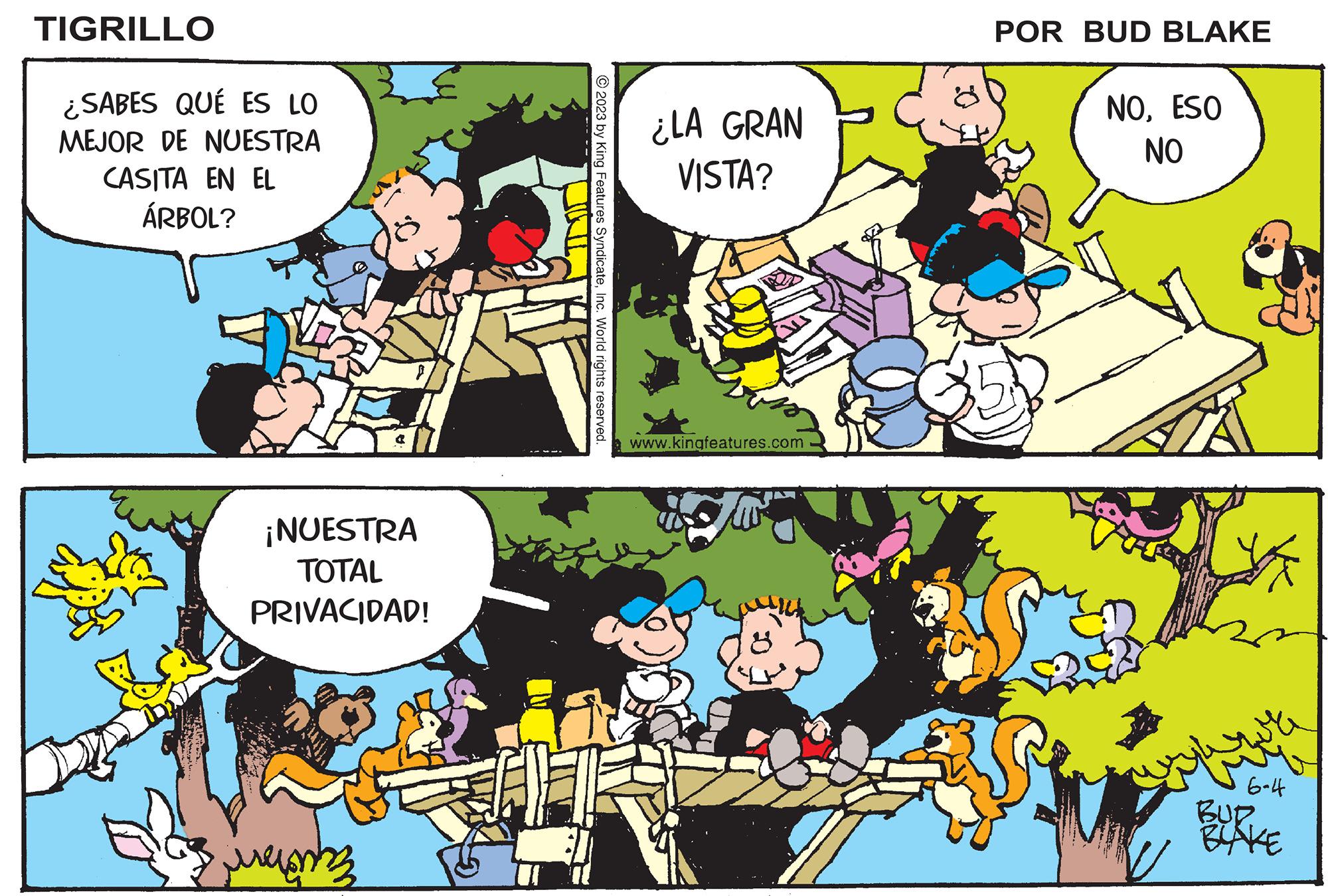 Tiger (Spanish) - 2023-06-04