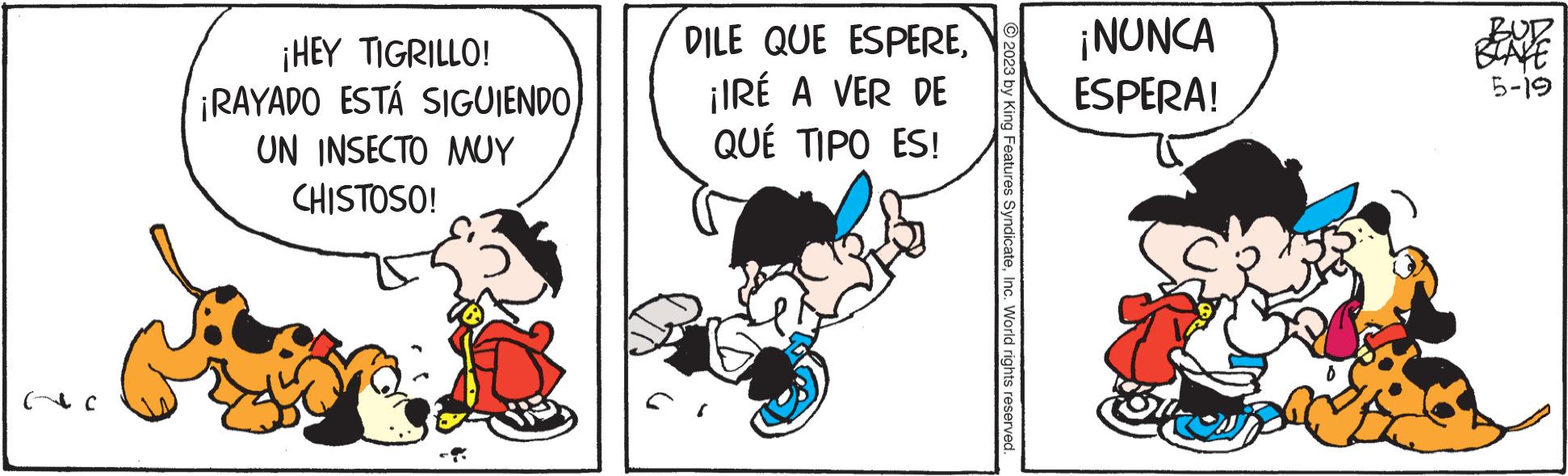 Humour OCR: ¡HEY TIGRILLO! ¡RAYADO ESTÁ SIGUIENDO ON INSECTO ??? CHISTOSO! DILE QUE ESPERE¡IRÉ A VER DE QUÉ TIPO ES! CI © 2023 by King Features SyndicateInc. World rights reserved. ¡NUNCA ESPERA! BUD BLAKE 5-19 ¡ HEY TIGRILLO ! ¡ RAYADO ESTÁ SIGUIENDO ON INSECTO ??? CHISTOSO ! DILE QUE ESPERE¡ IRÉ A VER DE QUÉ TIPO ES ! CI © 2023 by King Features SyndicateInc. World rights reserved . ¡ NUNCA ESPERA ! BUD BLAKE 5-19