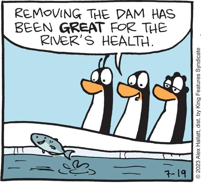 Sharing OCR: REMOVING THE DAM HAS BEEN GREAT FOR THE RIVER'S HEALTH. 7-19 © 2023 Alex Hallattdist. by King Features Syndicate REMOVING THE DAM HAS BEEN GREAT FOR THE RIVER'S HEALTH . 7-19 © 2023 Alex Hallattdist . by King Features Syndicate
