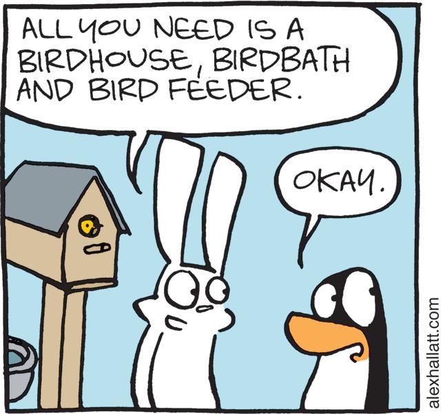 Happy OCR: ALL YOU NEED IS A BIRDHOUSEBIRDBATH AND BIRD FEEDER. ????. alexhallatt.com ALL YOU NEED IS A BIRDHOUSEBIRDBATH AND BIRD FEEDER . ???? . alexhallatt.com