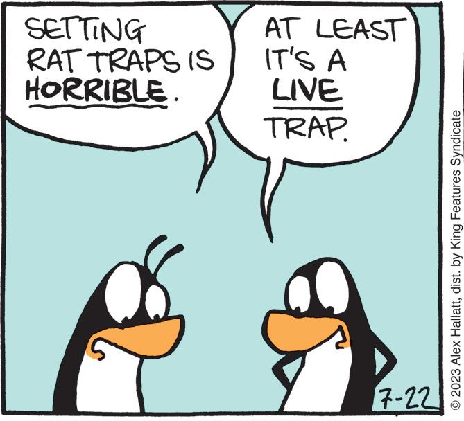 Font OCR: SETTING RAT TRAPS IS HORRIBLE. AT LEAST IT'S A LIVE TRAP. 7-22 2023 Alex Hallattdist. by King Features Syndicate SETTING RAT TRAPS IS HORRIBLE . AT LEAST IT'S A LIVE TRAP . 7-22 2023 Alex Hallattdist . by King Features Syndicate