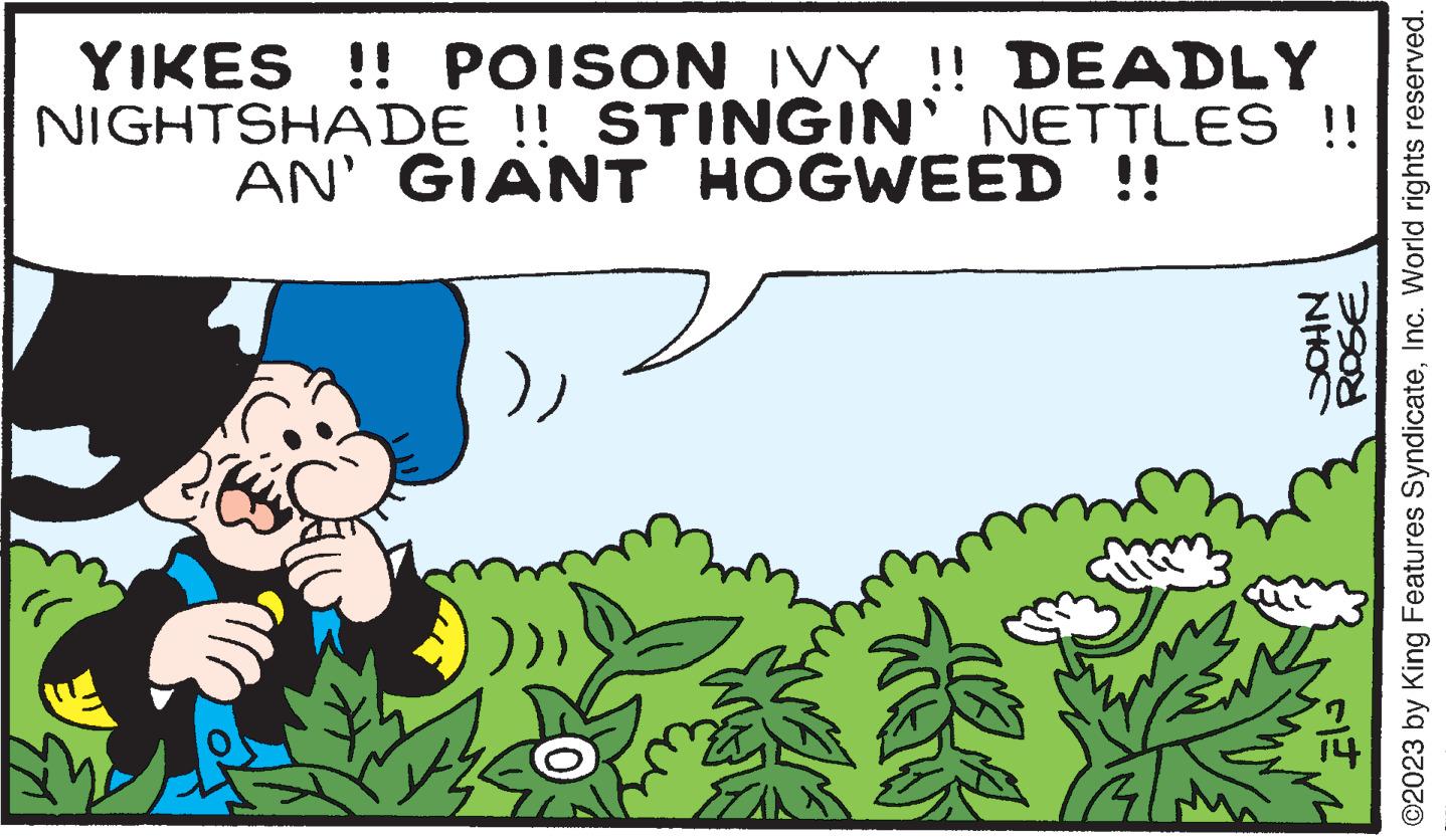 People in nature OCR: YIKES !! POISON IVY !! DEADLY NIGHTSHADE!! STINGIN' NETTLES !! AN' GIANT HOGWEED !! HANS NHOS ROSE GE ©2023 by King Features SyndicateInc. World rights reserved. YIKES !! POISON IVY !! DEADLY NIGHTSHADE !! STINGIN ' NETTLES !! AN ' GIANT HOGWEED !! HANS NHOS ROSE GE © 2023 by King Features SyndicateInc. World rights reserved .