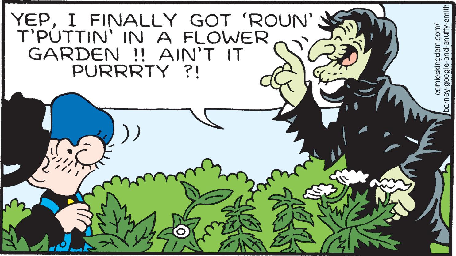 Font OCR: YEPI FINALLY GOT 'ROUN' T'PUTTIN' IN A FLOWER GARDEN !! AIN'T IT PURRRTY ?! )) GR comicskingdom.com/ barney-google-and-snuffy-smith YEPI FINALLY GOT ' ROUN ' T'PUTTIN ' IN A FLOWER GARDEN !! AIN'T IT PURRRTY ? ! ) ) GR comicskingdom.com/ barney - google - and - snuffy - smith