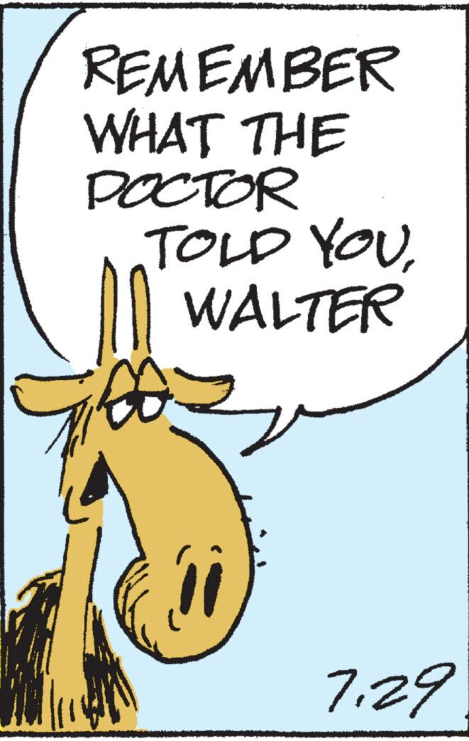 Rectangle OCR: REMEMBER WHAT THE DOCTOR TOLD YOU. WALTER 7.29 E REMEMBER WHAT THE DOCTOR TOLD YOU . WALTER 7.29 E