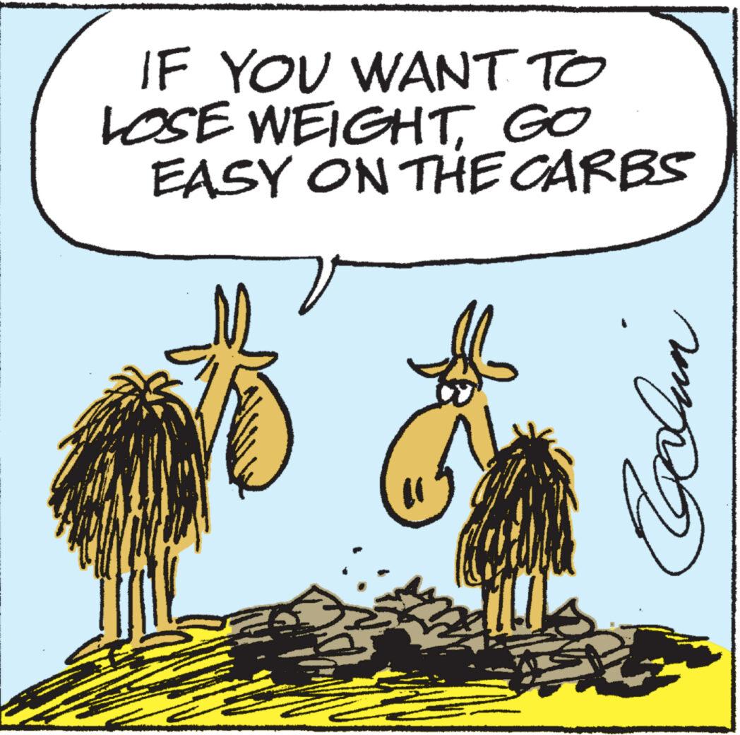 Sharing OCR: IF YOU WANT TO LOSE WEIGHTGO EASY ON THE CARBS " US / ????? F IF YOU WANT TO LOSE WEIGHTGO EASY ON THE CARBS " US / ????? F