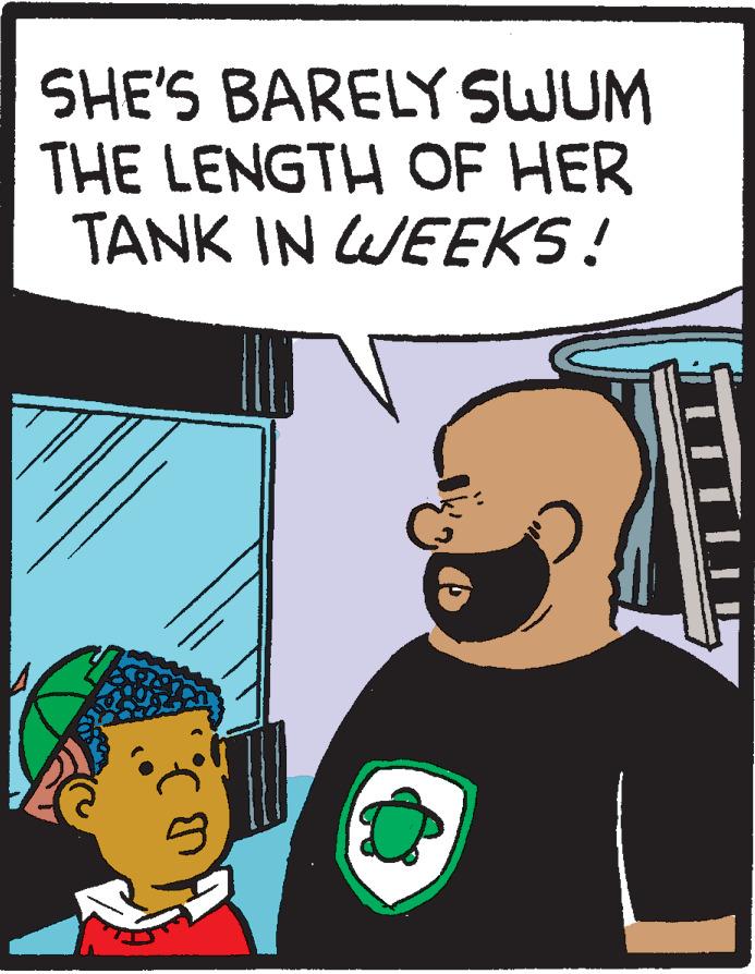 Drawing OCR: SHE'S BARELY SWUM THE LENGTH OF HER TANK IN WEEKS! n n SHE'S BARELY SWUM THE LENGTH OF HER TANK IN WEEKS ! n n