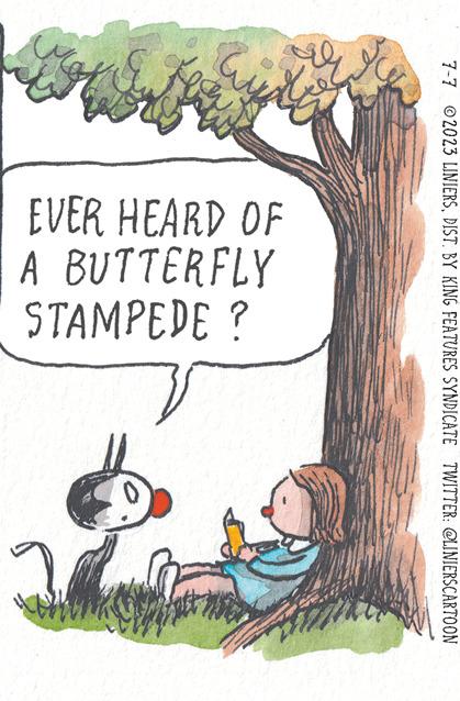 Grass OCR: 7-7 2023 LINIERSDIST. BY KING FEATURES SYNDICATE TWITTER: @LINIERSCARTOON Eula Hoz EVER HEARD OF A BUTTERFLY STAMPEDE ? 7-7 2023 LINIERSDIST . BY KING FEATURES SYNDICATE TWITTER : @LINIERSCARTOON Eula Hoz EVER HEARD OF A BUTTERFLY STAMPEDE ?