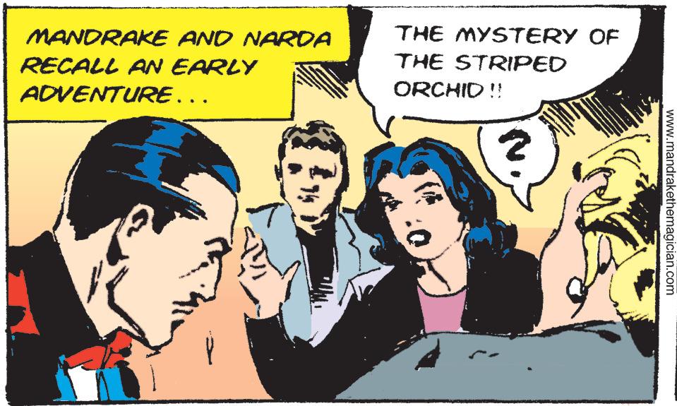 Art OCR: MANDRAKE AND NARDA RECALL AN EARLY ADVENTURE… 3 THE MYSTERY OF THE STRIPED ORCHID !! www.mandrakethemagician.com MANDRAKE AND NARDA RECALL AN EARLY ADVENTURE … 3 THE MYSTERY OF THE STRIPED ORCHID !! www.mandrakethemagician.com