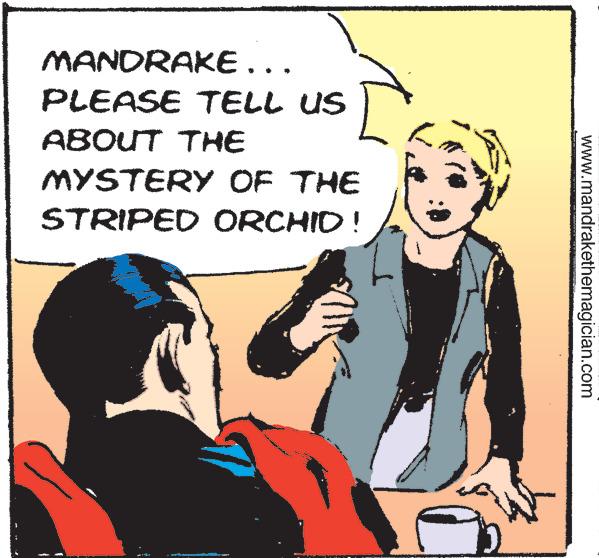 Event OCR: MANDRAKE... PLEASE TELL US ABOUT THE MYSTERY OF THE STRIPED ORCHID! MA AVAN V 2 www.mandrakethemagician.com MANDRAKE ... PLEASE TELL US ABOUT THE MYSTERY OF THE STRIPED ORCHID ! MA AVAN V 2 www.mandrakethemagician.com