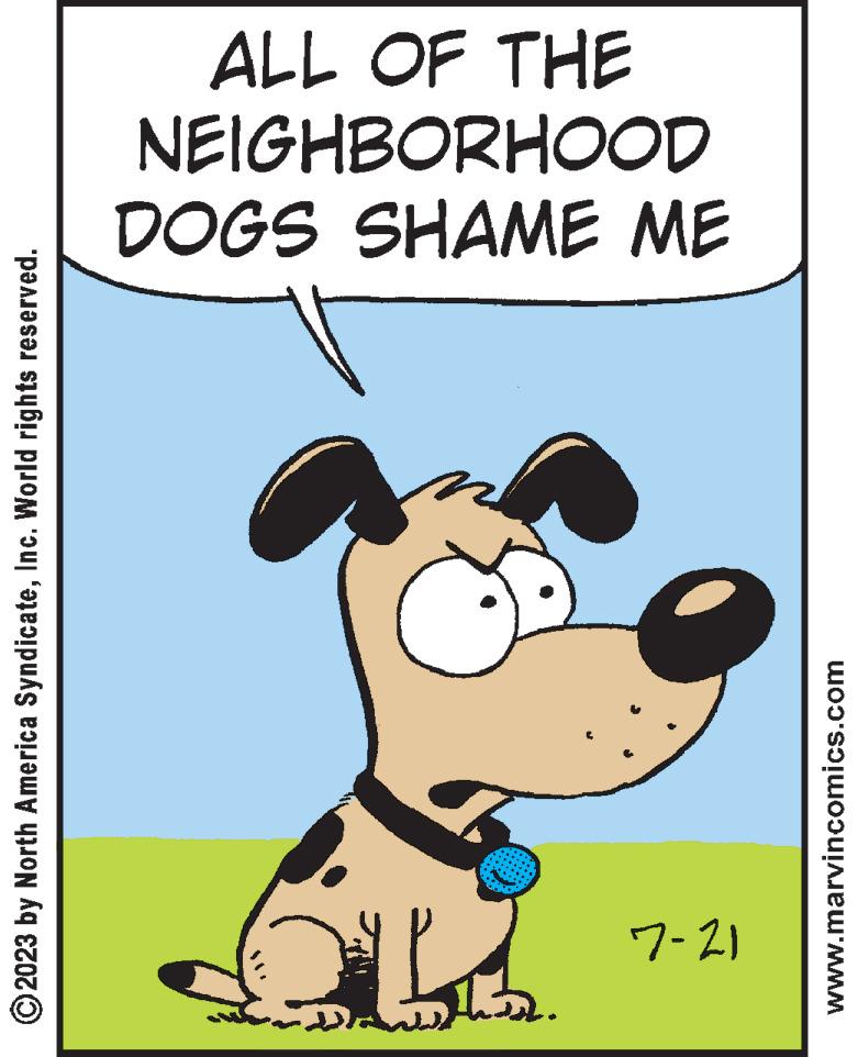 Terrestrial animal OCR: © 2023 by North America SyndicateInc. World rights reserved. 2 22. 7-21 www.marvincomics.com DOGS SHAME ME NEIGHBORHOOD ALL OF THE © 2023 by North America SyndicateInc. World rights reserved . 2 22 . 7-21 www.marvincomics.com DOGS SHAME ME NEIGHBORHOOD ALL OF THE