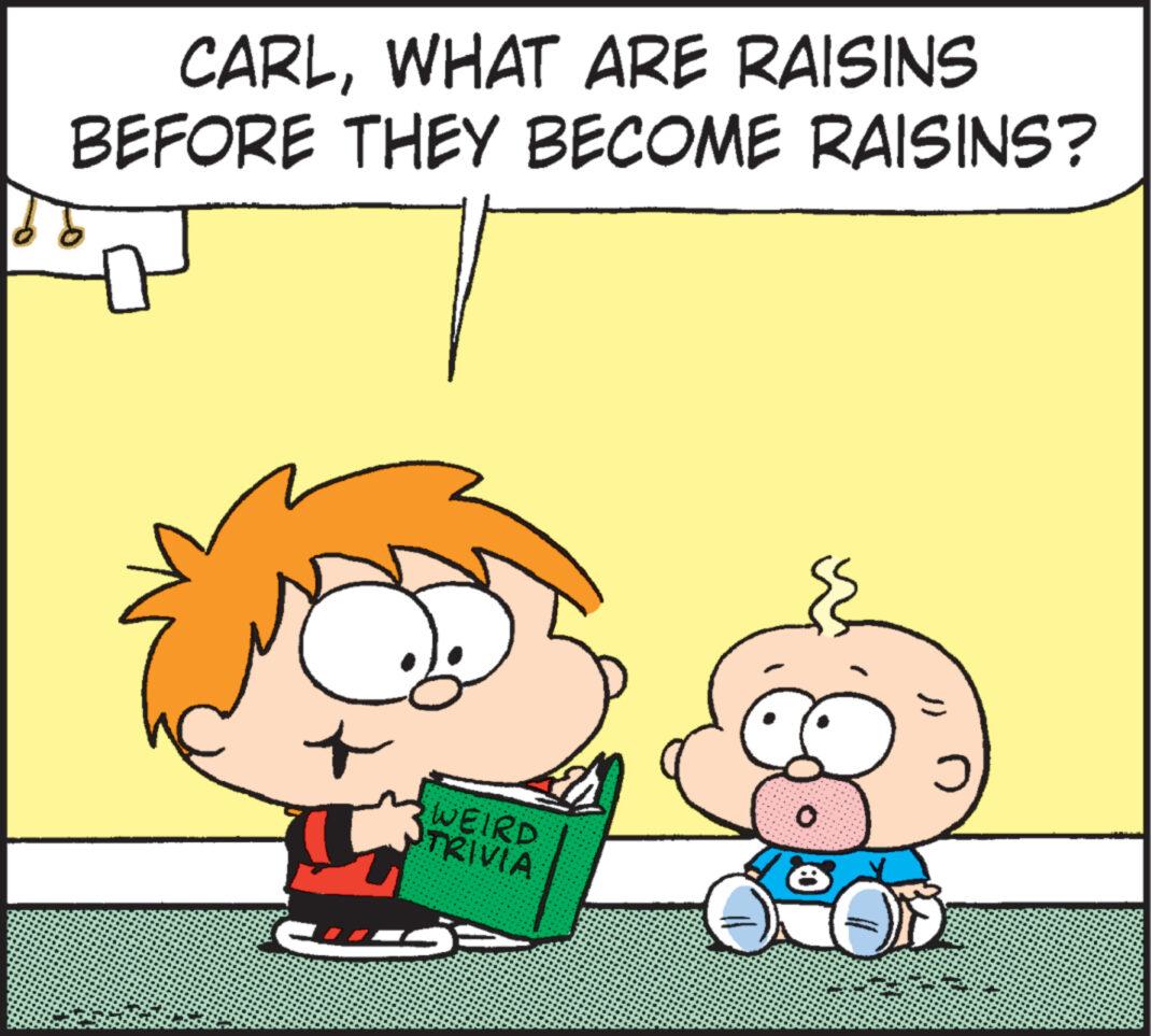 Organism OCR: CARLWHAT ARE RAISINS BEFORE THEY BECOME RAISINS? WEIRD TRIVIA O CARLWHAT ARE RAISINS BEFORE THEY BECOME RAISINS ? WEIRD TRIVIA O