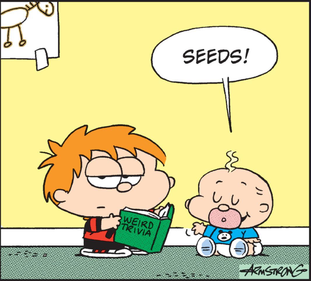 Mode of transport OCR: WEIRD TRIVIA S SEEDS! 10 O ARMSTRONG WEIRD TRIVIA S SEEDS ! 10 O ARMSTRONG