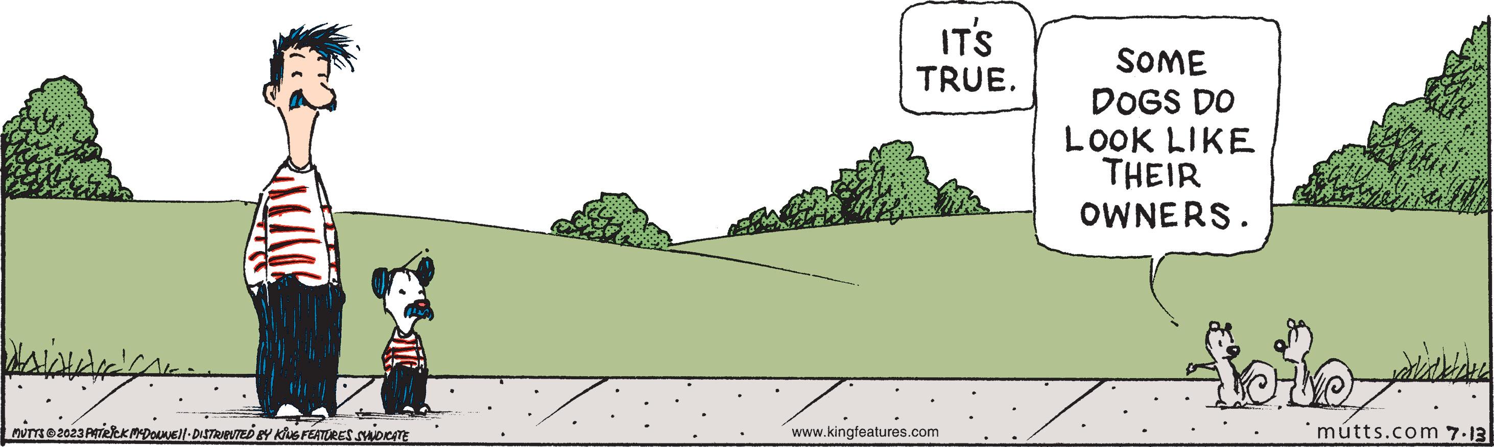 Grass OCR: ? ? ? ? ? lllll MUTTS2023 PATRICK MCDONNE) DISTRIBUTED BY KING FEATURES SYNDICATE IT'S TRUE. www.kingfeatures.com SOME DOGS DO LOOK LIKE THEIR OWNERS. joto mutts.com 7.13 ? ? ? ? ? lllll MUTTS2023 PATRICK MCDONNE ) DISTRIBUTED BY KING FEATURES SYNDICATE IT'S TRUE . www.kingfeatures.com SOME DOGS DO LOOK LIKE THEIR OWNERS . joto mutts.com 7.13