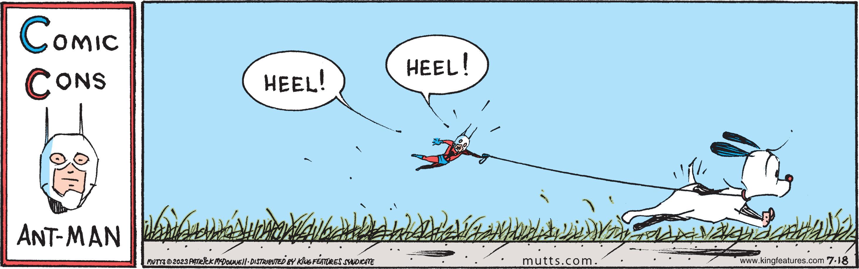 Illustration OCR: COMIC CONS T ANT-MAN HEEL! Whe MUTTS © 2023 PATRICK MCDONNE||· DISTRIBUTED BY KING FEATURES SYNDICATE HEEL! Piek WDuX mutts.com. www.kingfeatures.com 7.18 COMIC CONS T ANT - MAN HEEL ! Whe MUTTS © 2023 PATRICK MCDONNE || · DISTRIBUTED BY KING FEATURES SYNDICATE HEEL ! Piek WDuX mutts.com . www.kingfeatures.com 7.18