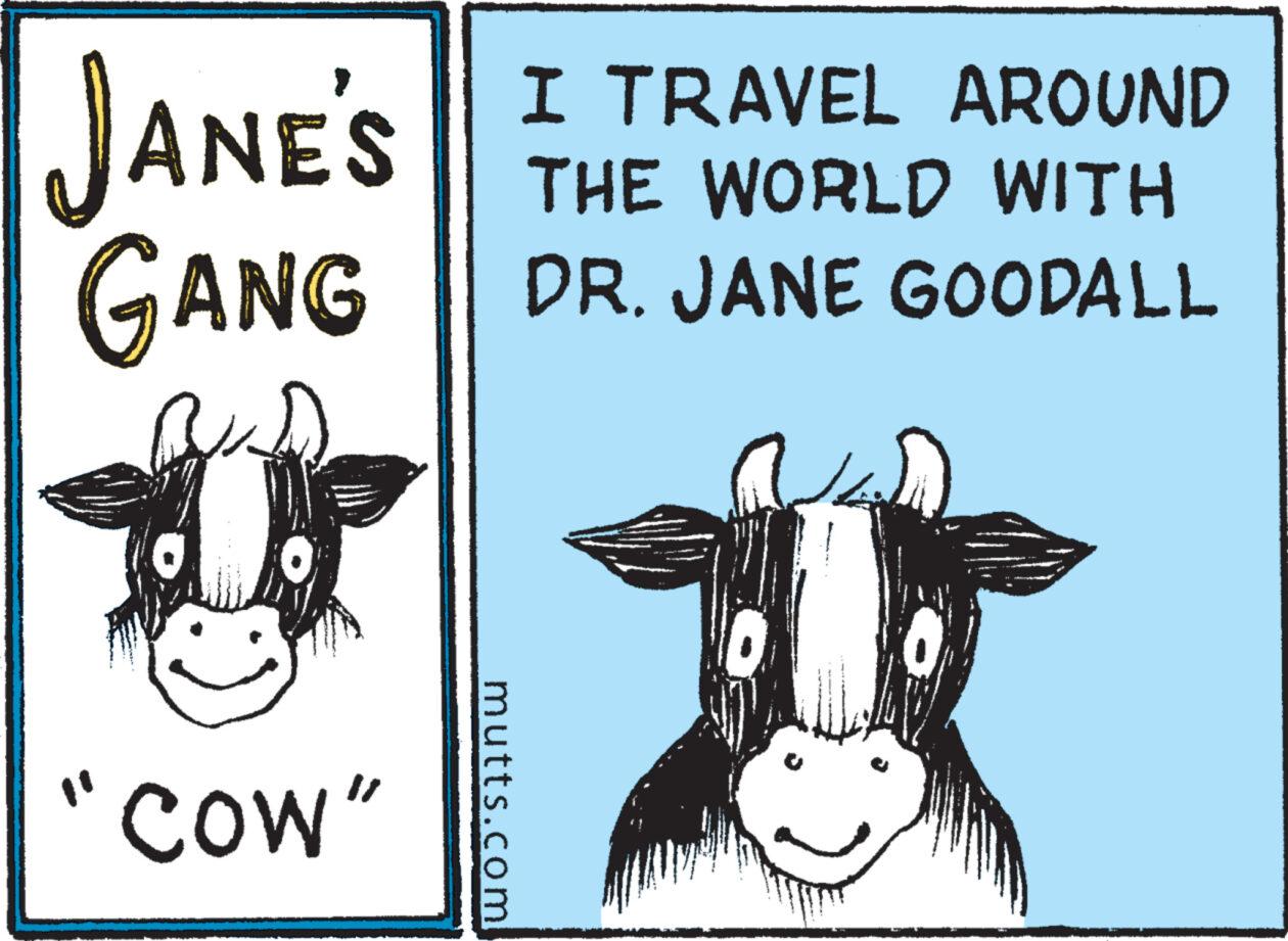 Illustration OCR: JANE'S GANG "Cow" mutts.com I TRAVEL AROUND THE WORLD WITH DR. JANE GOODALL JANE'S GANG " Cow " mutts.com I TRAVEL AROUND THE WORLD WITH DR . JANE GOODALL