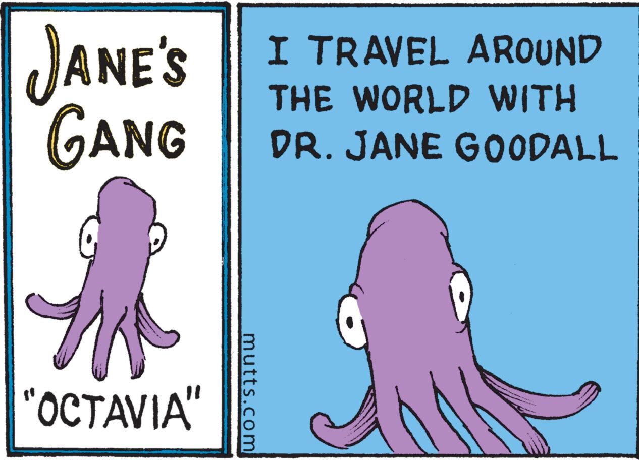 Art OCR: JANE'S GANG "OCTAVIA" utts.com I TRAVEL AROUND THE WORLD WITH DR. JANE GOODALL JANE'S GANG " OCTAVIA " utts.com I TRAVEL AROUND THE WORLD WITH DR . JANE GOODALL