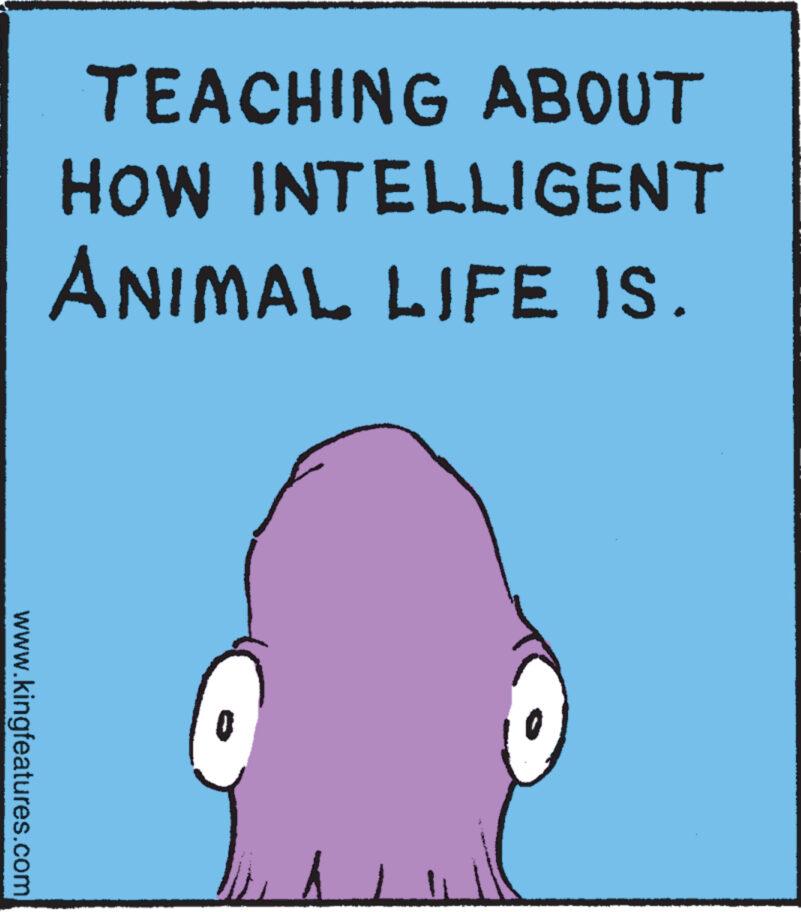 Drawing OCR: www.kingfeatures.com TEACHING ABOUT HOW INTELLIGENT ANIMAL LIFE IS. www.kingfeatures.com TEACHING ABOUT HOW INTELLIGENT ANIMAL LIFE IS .