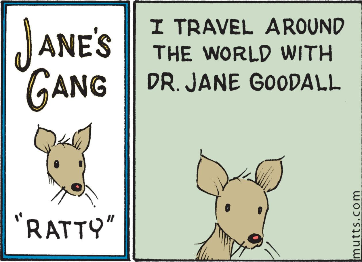 Sharing OCR: JANE'S GANG "RATTY" I TRAVEL AROUND THE WORLD WITH DR. JANE GOODALL mutts.com JANE'S GANG " RATTY " I TRAVEL AROUND THE WORLD WITH DR . JANE GOODALL mutts.com