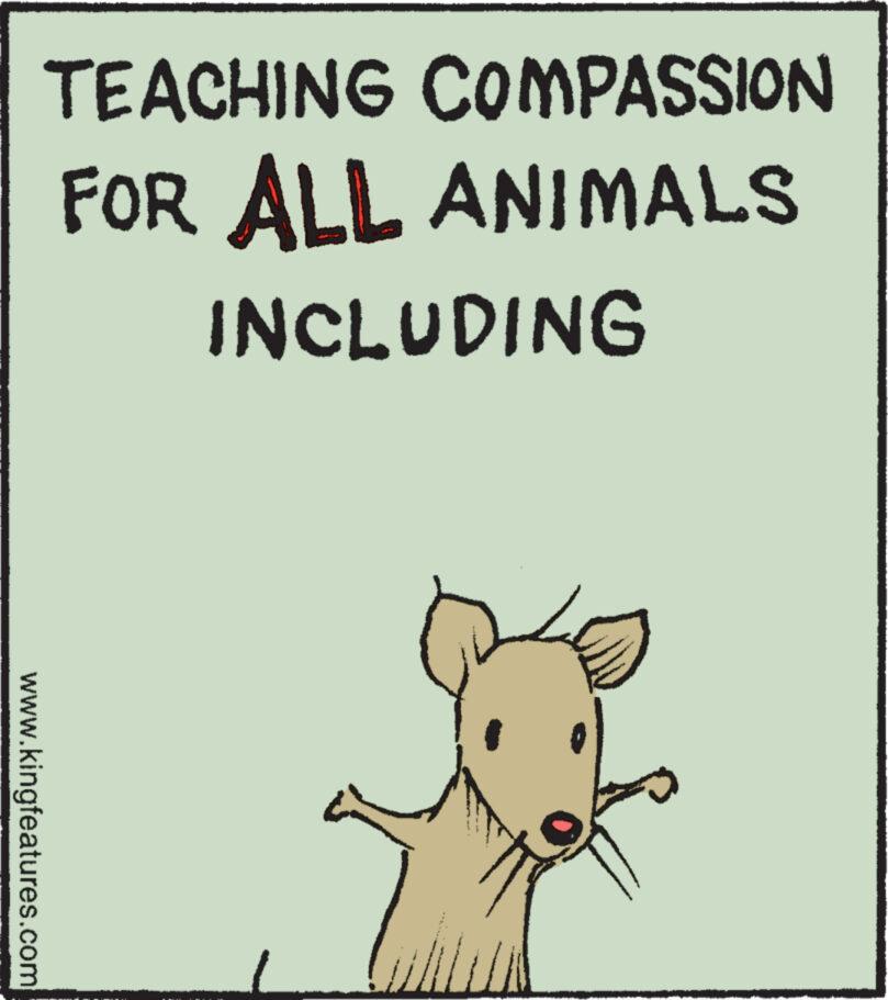 Illustration OCR: www.kingfeatures.com TEACHING COMPASSION FOR ALL ANIMALS INCLUDING www.kingfeatures.com TEACHING COMPASSION FOR ALL ANIMALS INCLUDING