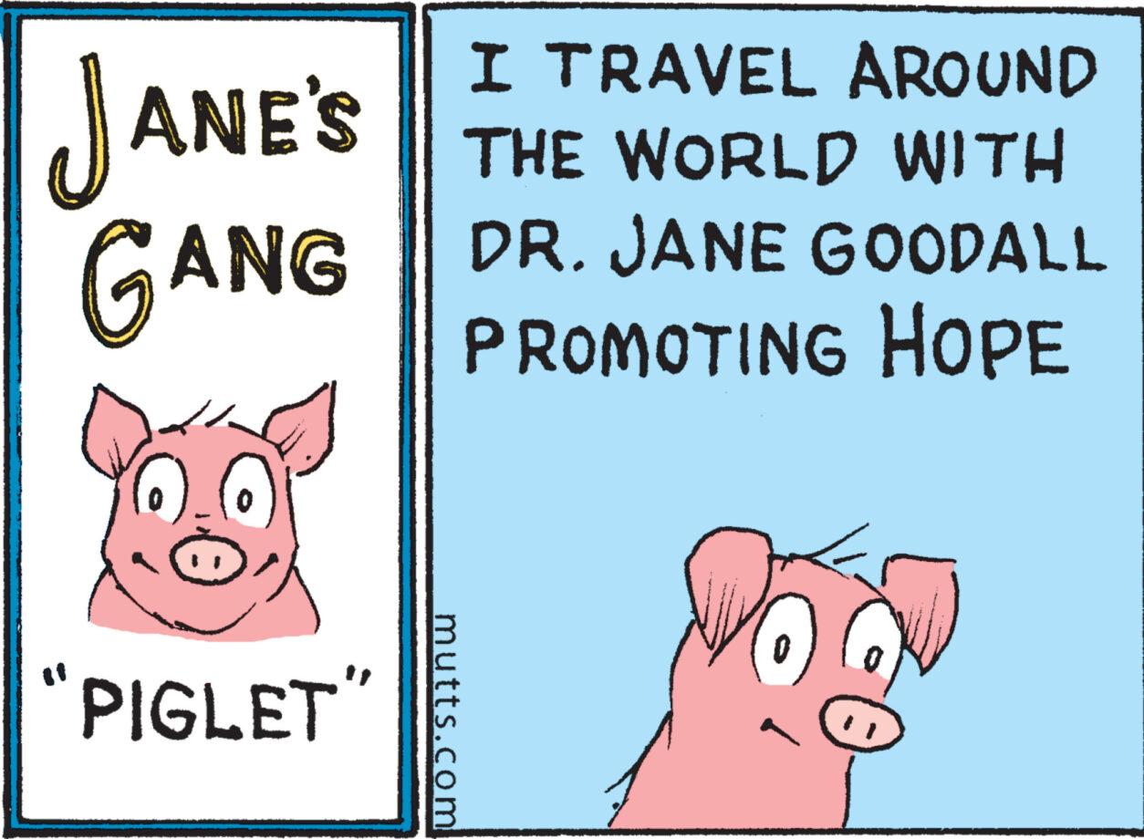 Rectangle OCR: JANE'S GANG "PIGLET" mutts.com I TRAVEL AROUND THE WORLD WITH DR. JANE GOODALL PROMOTING HOPE JANE'S GANG " PIGLET " mutts.com I TRAVEL AROUND THE WORLD WITH DR . JANE GOODALL PROMOTING HOPE