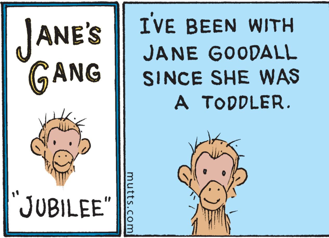 Illustration OCR: JANE'S GANG JUBILEE mutts.com I'VE BEEN WITH JANE GOODALL SINCE SHE WAS A TODDLER. JANE'S GANG JUBILEE mutts.com I'VE BEEN WITH JANE GOODALL SINCE SHE WAS A TODDLER .