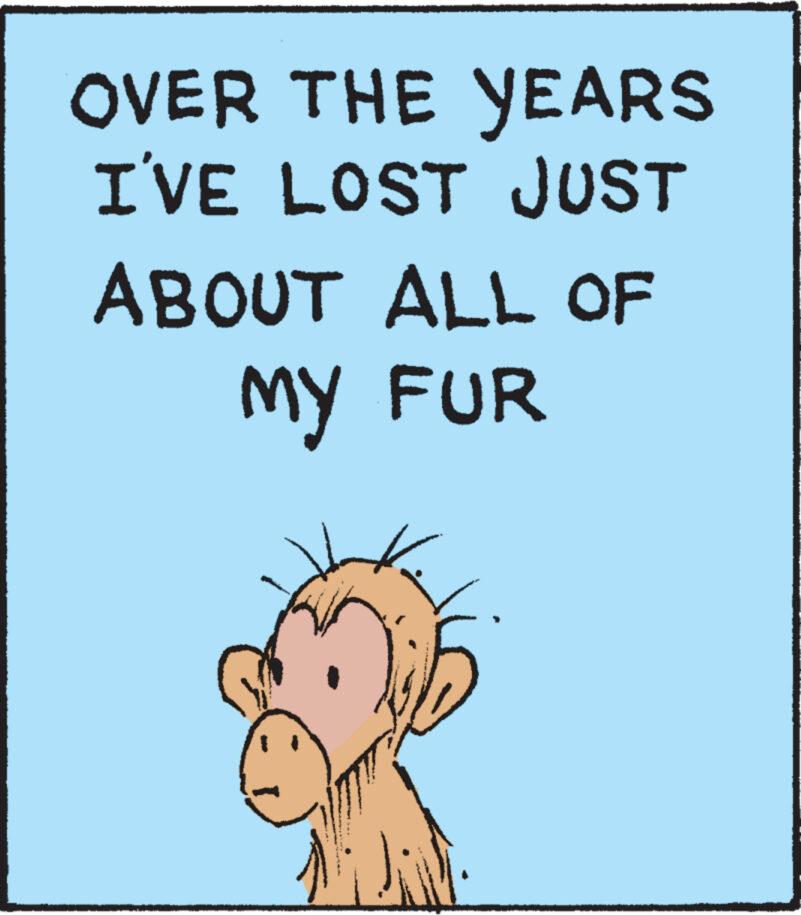 Terrestrial animal OCR: OVER THE YEARS I'VE LOST JUST ABOUT ALL OF MY FUR Ji OVER THE YEARS I'VE LOST JUST ABOUT ALL OF MY FUR Ji