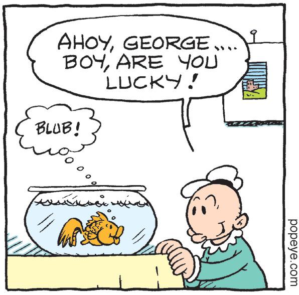Rectangle OCR: AHOYGEORGE… BOYARE YOU LUCKY! BLUB! ??? Fo ????? ??? ?? ?? ?? 153 -=//= popeye.com AHOYGEORGE … BOYARE YOU LUCKY ! BLUB ! ??? Fo ????? ??? ?? ?? ?? 153 - = // = popeye.com