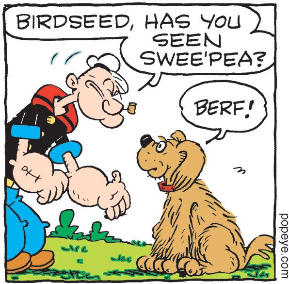 Adaptation OCR: BIRDSEEDHAS YOU oft ( Eve cftz SEEN SWEE'PEA? BERF! ake Calefa u popeye.com BIRDSEEDHAS YOU oft ( Eve cftz SEEN SWEE'PEA ? BERF ! ake Calefa u popeye.com
