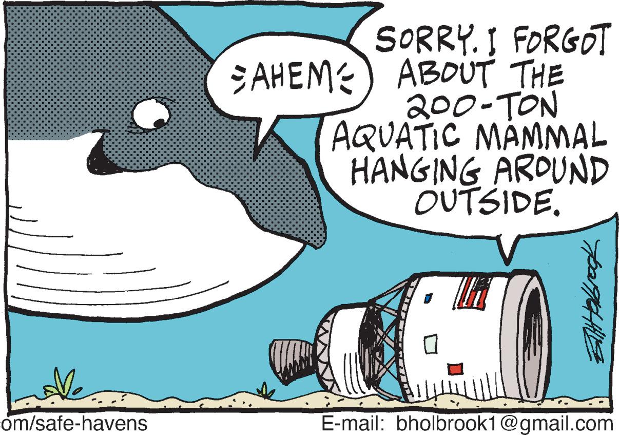 Circle OCR: om/safe-havens SORRY. I FORGOT SAHEME ABOUT THE 200-TON AQUATIC MAMMAL HANGING AROUND OUTSIDE. ETHHH tabrook E-mail: bholbrook1@gmail.com om / safe - havens SORRY . I FORGOT SAHEME ABOUT THE 200 - TON AQUATIC MAMMAL HANGING AROUND OUTSIDE . ETHHH tabrook E - mail : bholbrook1@gmail.com