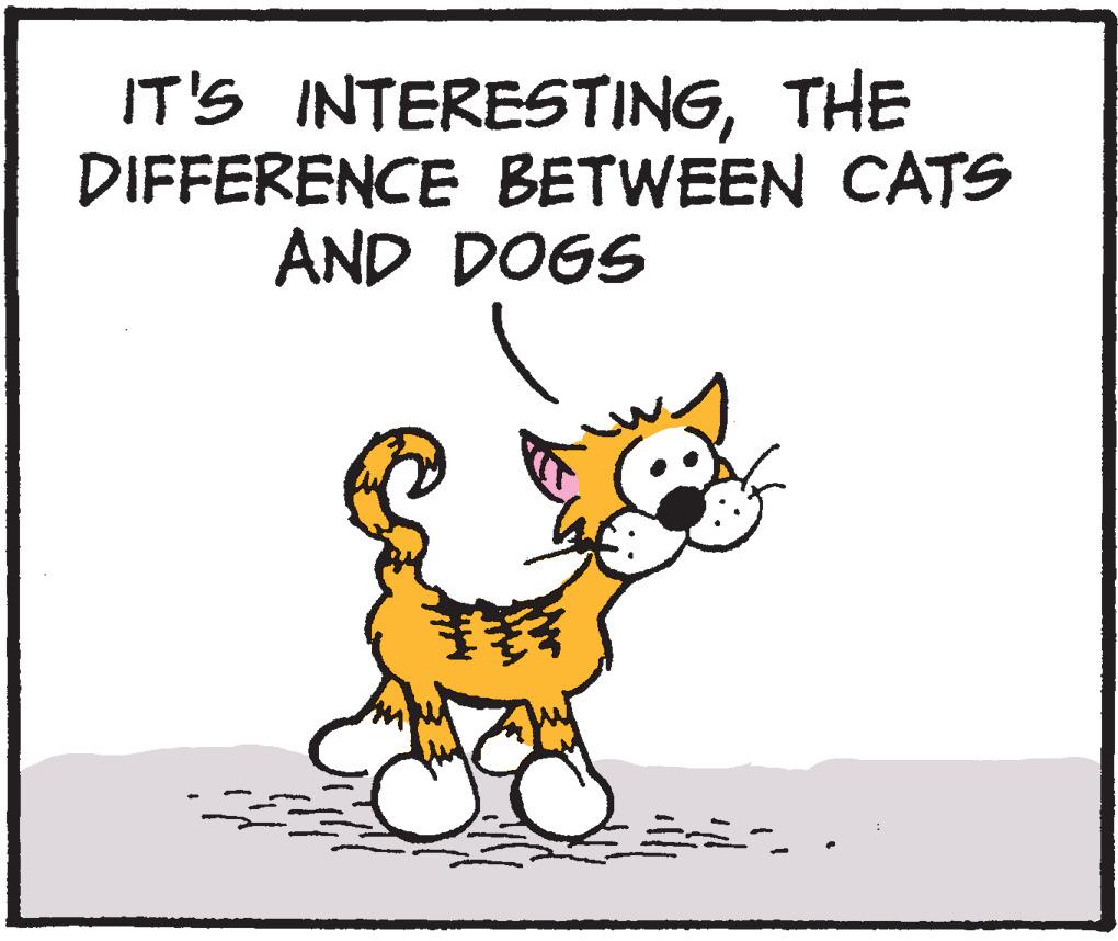 Snout OCR: IT'S INTERESTINGTHE DIFFERENCE BETWEEN CATS AND DOGS ????? * ==-- IT'S INTERESTINGTHE DIFFERENCE BETWEEN CATS AND DOGS ????? * == --