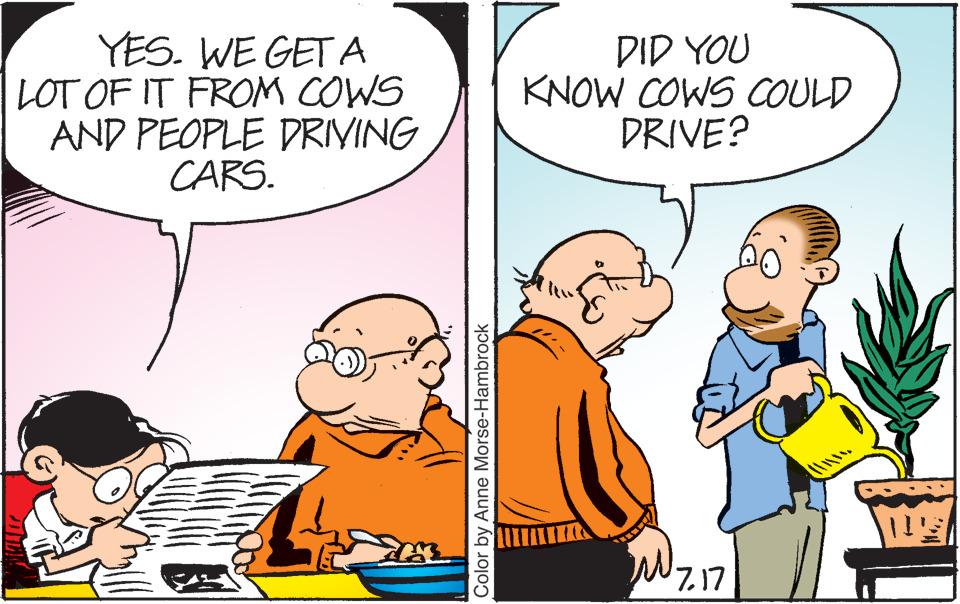Font OCR: YES. WE GET A LOT OF IT FROM COWS AND PEOPLE DRIVING CARS. Color by Anne Morse-Hambrock DID YOU KNOW COWS COULD DRIVE? W 7.17 1. ! YES . WE GET A LOT OF IT FROM COWS AND PEOPLE DRIVING CARS . Color by Anne Morse - Hambrock DID YOU KNOW COWS COULD DRIVE ? W 7.17 1 . !