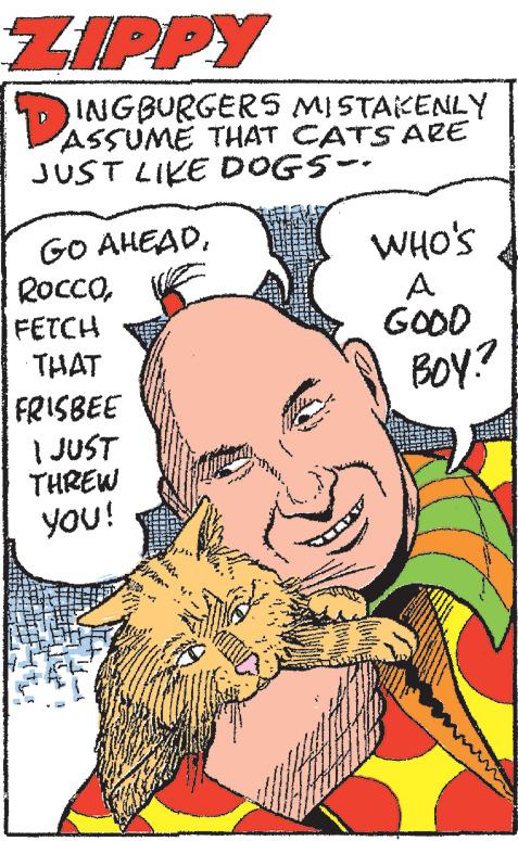 Mammal OCR: ZIPPY D2 INGBURGERS MISTAKENLY ASSUME THAT CATS ARE JUST LIKE DOGS -- GO AHEADFETCH THAT FRISBEE I JUST THREW YOU! *** A WHO'S A GOOD BOY? www ZIPPY D2 INGBURGERS MISTAKENLY ASSUME THAT CATS ARE JUST LIKE DOGS -- GO AHEADFETCH THAT FRISBEE I JUST THREW YOU ! *** A WHO'S A GOOD BOY ? www