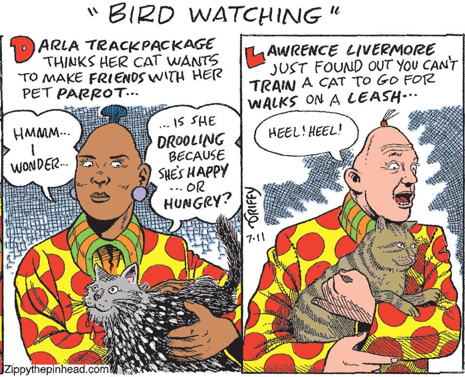 Sharing OCR: 11 BIRD WATCHING" ARLA TRACKPACKAGE THINKS HER CAT WANTS TO MAKE FRIENDS WITH HER PET PARROT... HMMM... 1 WONDER... Zippythepinhead.com IS SHE DROOLING BECAUSE SHE'S HAPPY .OR HUNGRY? AWRENCE LIVERMORE JUST FOUND OUT YOU CAN'T TRAIN A CAT TO GO FOR WALKS ON A LEASH--- HEEL! HEEL! TRIFFY 7-11 gufa 11 BIRD WATCHING " ARLA TRACKPACKAGE THINKS HER CAT WANTS TO MAKE FRIENDS WITH HER PET PARROT ... HMMM ... 1 WONDER ... Zippythepinhead.com IS SHE DROOLING BECAUSE SHE'S HAPPY .OR HUNGRY ? AWRENCE LIVERMORE JUST FOUND OUT YOU CAN'T TRAIN A CAT TO GO FOR WALKS ON A LEASH --- HEEL ! HEEL ! TRIFFY 7-11 gufa