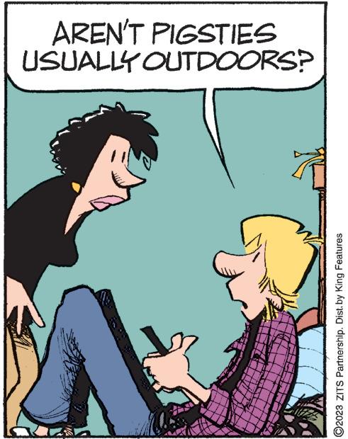 Gesture OCR: www. ?2023 ZITS Partnership. Dist. by King Features USUALLY OUTDOORS? AREN'T PIGSTIES www . ?2023 ZITS Partnership . Dist . by King Features USUALLY OUTDOORS ? AREN'T PIGSTIES