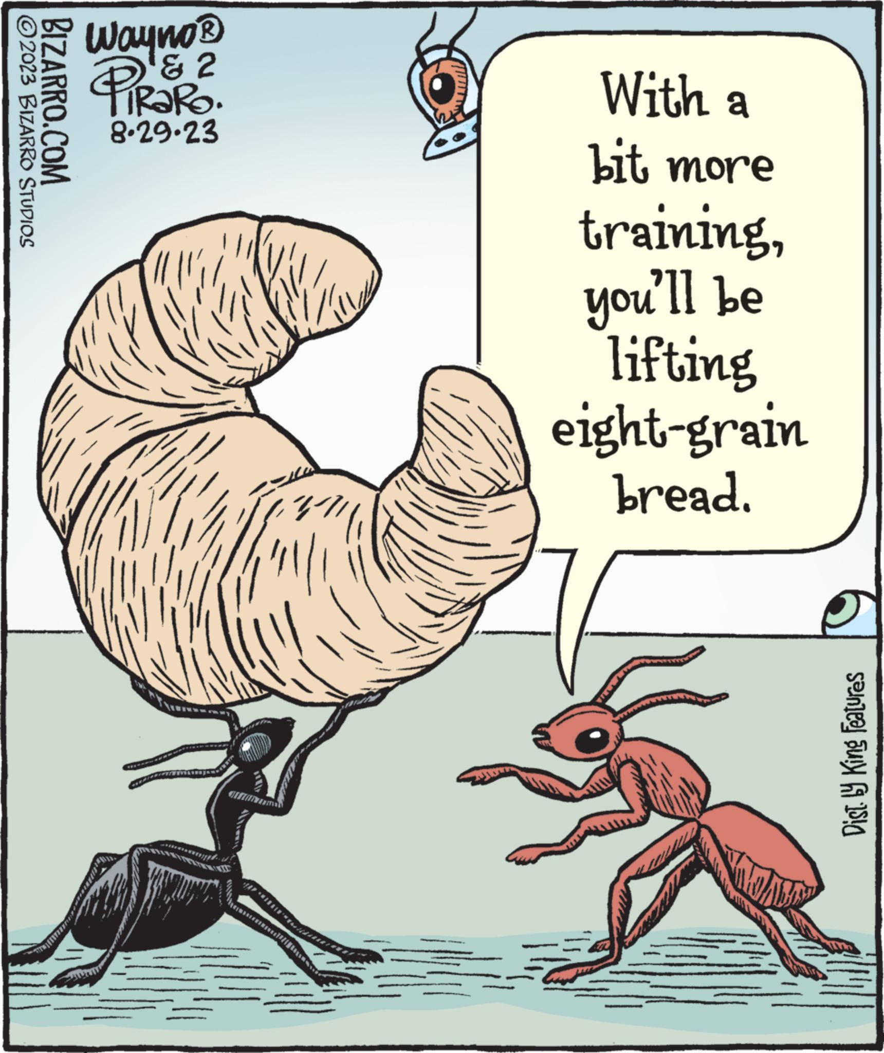 Drawing OCR: ?2023 BIZARRO STUDIOS BIZARRO.COM Wayno? & 2 PiRaRo. 8.29.23 ****** 114 With a bit more trainingyou'll be lifting eight-grain bread. sence su f ! ?2023 BIZARRO STUDIOS BIZARRO.COM Wayno? & 2 PiRaRo . 8.29.23 ****** 114 With a bit more trainingyou'll be lifting eight - grain bread . sence su f !