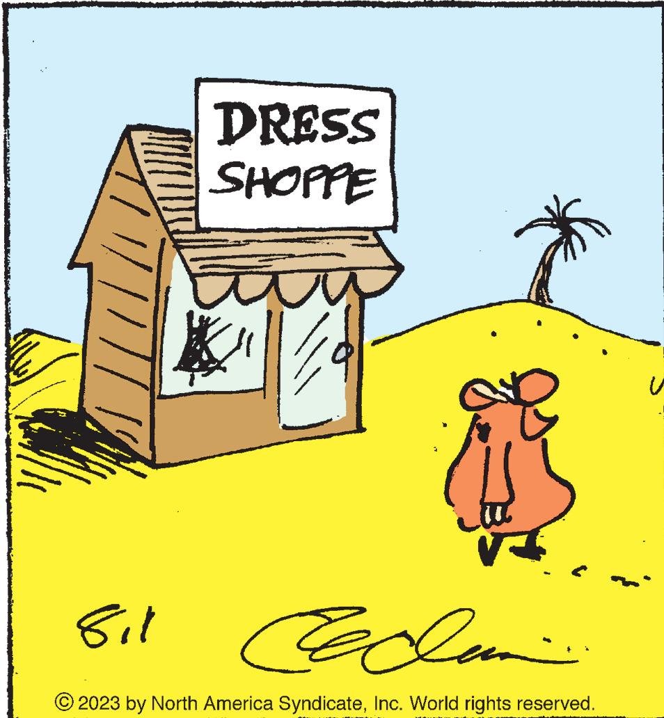 Illustration OCR: 'll DRESS SHOPPE VJ 8i1 ceolat 2023 by North America SyndicateInc. World rights reserved. ' ll DRESS SHOPPE VJ 8i1 ceolat 2023 by North America SyndicateInc. World rights reserved .