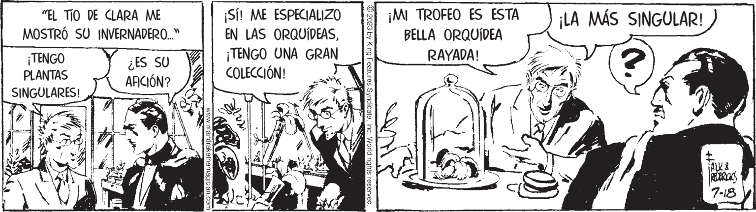 Monochrome OCR: "EL TÍO DE CLARA ME MOSTRÓ SU INVERNADERO..." ¡TENGO PLANTAS SINGULARES! ¿ES SU AFICIÓN? www.mandrakethemagician.com ¡Sí! ME ESPECIALIZO EN LAS ORQUÍDEAS¡TENGO UNA GRAN COLECCIÓN! © 2023 by King Features SyndicateInc. World rights reserved. ¡MI TROFEO ES ESTA ¡LA MÁS SINGULAR! BELLA ORQUÍDEA RAYADA! FALK & 7-18 " EL TÍO DE CLARA ME MOSTRÓ SU INVERNADERO ... " ¡ TENGO PLANTAS SINGULARES ! ¿ ES SU AFICIÓN ? www.mandrakethemagician.com ¡ Sí ! ME ESPECIALIZO EN LAS ORQUÍDEAS¡ TENGO UNA GRAN COLECCIÓN ! © 2023 by King Features SyndicateInc. World rights reserved . ¡ MI TROFEO ES ESTA ¡ LA MÁS SINGULAR ! BELLA ORQUÍDEA RAYADA ! FALK & 7-18