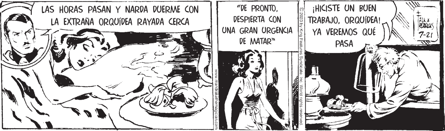 Comics OCR: LAS HORAS PASAN Y NARDA DUERME CON LA EXTRAÑA ORQUÍDEA RAYADA CERCA www.mandrakethemagician.com "DE PRONTODESPIERTA CON UNA GRAN URGENCIA DE MATAR" © 2023 by King Features SyndicateInc. World rights reserved. ¡HICISTE UN BUEN TRABAJOORQUÍDEA! YA VEREMOS QUÉ PASA ????? REDERICKS 7-21 LAS HORAS PASAN Y NARDA DUERME CON LA EXTRAÑA ORQUÍDEA RAYADA CERCA www.mandrakethemagician.com " DE PRONTODESPIERTA CON UNA GRAN URGENCIA DE MATAR " © 2023 by King Features SyndicateInc. World rights reserved . ¡ HICISTE UN BUEN TRABAJOORQUÍDEA ! YA VEREMOS QUÉ PASA ????? REDERICKS 7-21