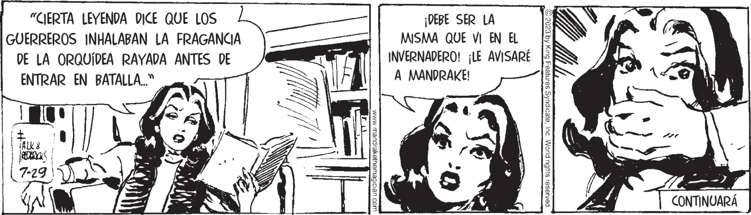 Illustration OCR: "CIERTA LEYENDA DICE QUE LOS GUERREROS INHALABAN LA FRAGANCIA DE LA ORQUÍDEA RAYADA ANTES DE ENTRAR EN BATALLA..." TALK & 7-29 www.mandrakethemagician.com ¡DEBE SER LA MISMA QUE VI EN EL INVERNADERO! ¡LE AVISARÉ A MANDRAKE! 2023 by King Features SyndicateInc. World rights reserved. CONTINUARÁ " CIERTA LEYENDA DICE QUE LOS GUERREROS INHALABAN LA FRAGANCIA DE LA ORQUÍDEA RAYADA ANTES DE ENTRAR EN BATALLA ... " TALK & 7-29 www.mandrakethemagician.com ¡ DEBE SER LA MISMA QUE VI EN EL INVERNADERO ! ¡ LE AVISARÉ A MANDRAKE ! 2023 by King Features SyndicateInc. World rights reserved . CONTINUARÁ