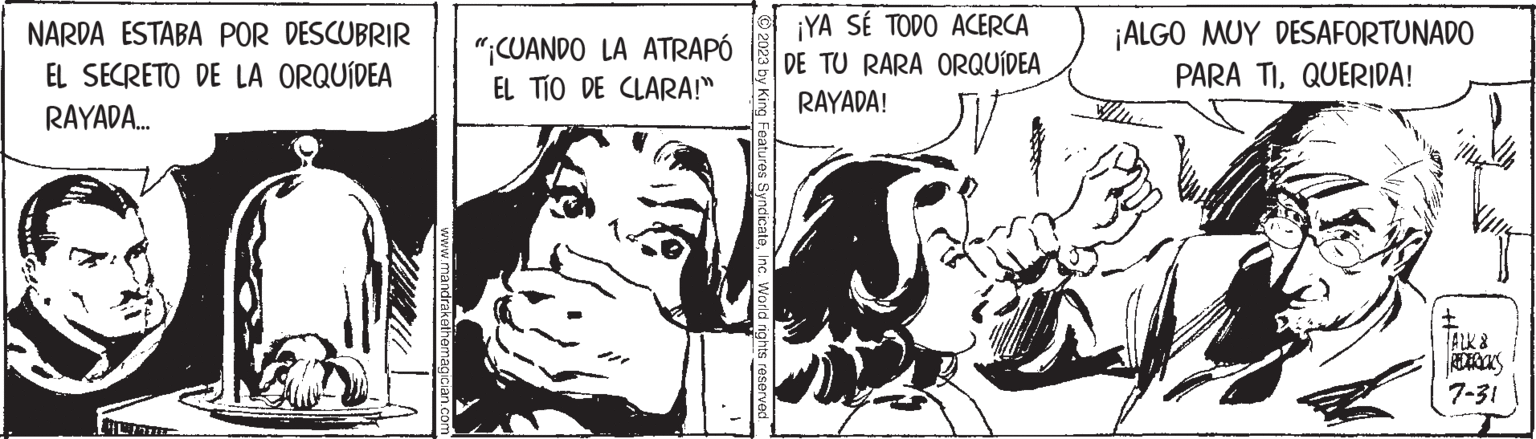 Illustration OCR: NARDA ESTABA POR DESCUBRIR EL SECRETO DE LA ORQUÍDEA RAYADA.... PR www.mandrakethemagician.com "¡CUANDO LA ATRAPÓ EL TÍO DE CLARA!" 2023 by King Features SyndicateInc. World rights reserved. ¡YA SÉ TODO ACERCA DE TU RARA ORQUÍDEA RAYADA! ¡ALGO MUY DESAFORTUNADO PARA TIQUERIDA! Vu I ALK & REDERICKS 7-31 NARDA ESTABA POR DESCUBRIR EL SECRETO DE LA ORQUÍDEA RAYADA .... PR www.mandrakethemagician.com " ¡ CUANDO LA ATRAPÓ EL TÍO DE CLARA ! " 2023 by King Features SyndicateInc. World rights reserved . ¡ YA SÉ TODO ACERCA DE TU RARA ORQUÍDEA RAYADA ! ¡ ALGO MUY DESAFORTUNADO PARA TIQUERIDA ! Vu I ALK & REDERICKS 7-31