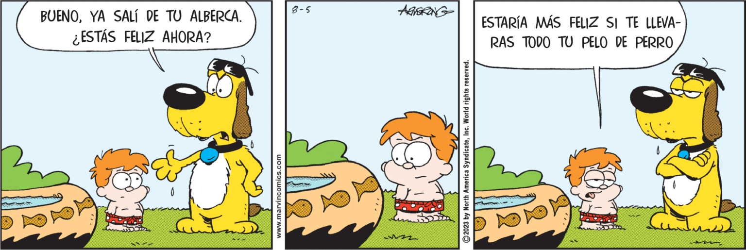 Art OCR: BUENOYA SALÍ DE TU ALBERCA. ¿ESTÁS FELIZ AHORA? www.marvincomics.com 8-5 mostrant ARVSRONG uzz 2023 by North America SyndicateInc. World rights reserved. ESTARÍA MÁS FELIZ SI TE LLEVA- RAS TODO TU PELO DE PERRO Cantues BUENOYA SALÍ DE TU ALBERCA . ¿ ESTÁS FELIZ AHORA ? www.marvincomics.com 8-5 mostrant ARVSRONG uzz 2023 by North America SyndicateInc. World rights reserved . ESTARÍA MÁS FELIZ SI TE LLEVA RAS TODO TU PELO DE PERRO Cantues