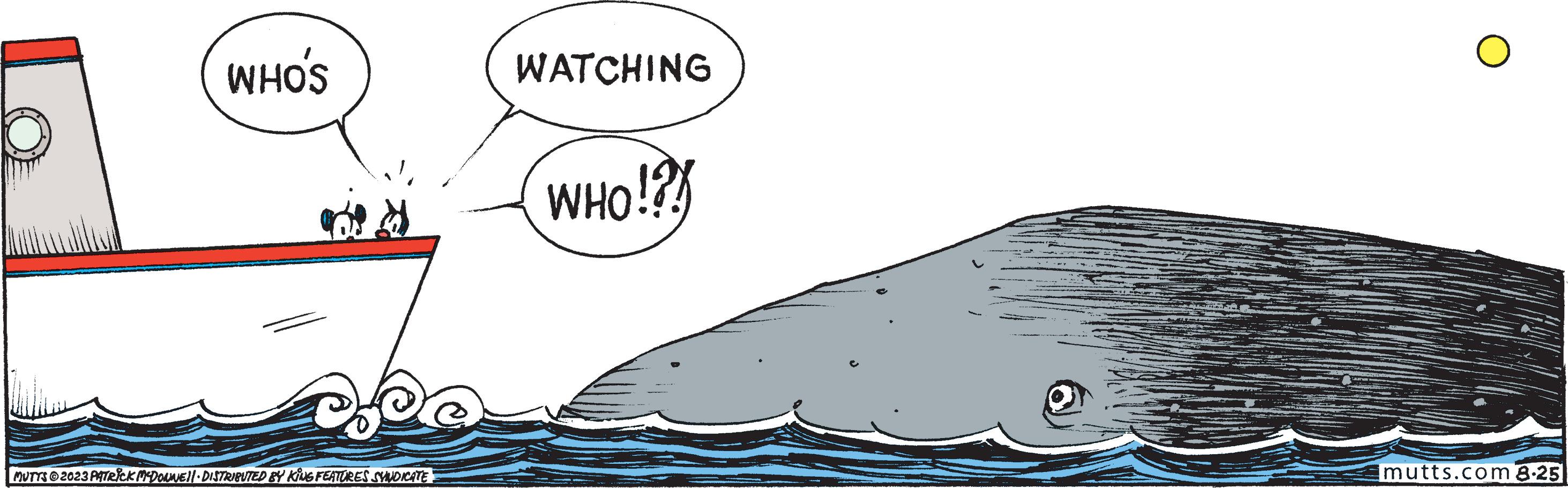 Rectangle OCR: WHO'S ? MUTTS © 2023 PATRICK MCDONNE||· DISTRIBUTED BY KING FEATURES SYNDICATE WATCHING WHO!? O mutts.com 8.25 WHO'S ? MUTTS © 2023 PATRICK MCDONNE || · DISTRIBUTED BY KING FEATURES SYNDICATE WATCHING WHO !? O mutts.com 8.25