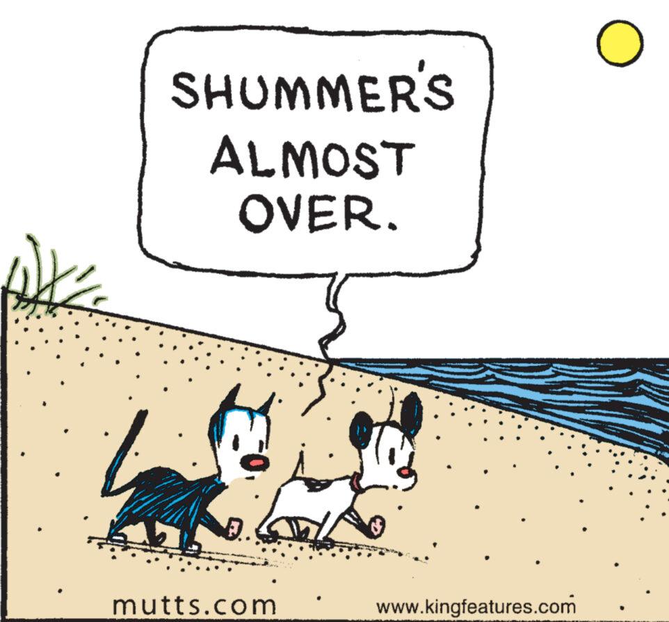 Art OCR: SHUMMER'S ALMOST OVER. D. mutts.com www.kingfeatures.com O . SHUMMER'S ALMOST OVER . D. mutts.com www.kingfeatures.com O .