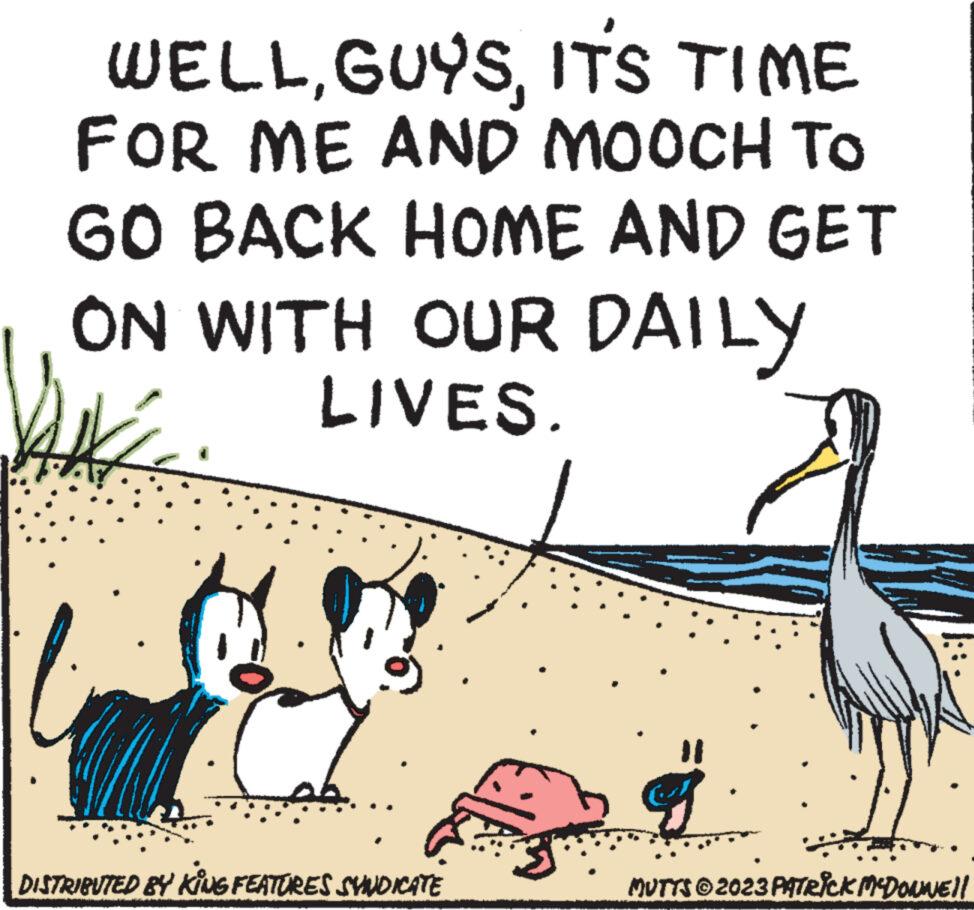 Sharing OCR: WELLIT'S TIME FOR ME AND MOOCH TO GO BACK HOME AND GET ON WITH OUR DAILY LIVES. 012 DISTRIBUTED BY KING FEATURES SYNDICATE MUTTS © 2023 PATRICK MCDONNE!! WELLIT'S TIME FOR ME AND MOOCH TO GO BACK HOME AND GET ON WITH OUR DAILY LIVES . 012 DISTRIBUTED BY KING FEATURES SYNDICATE MUTTS © 2023 PATRICK MCDONNE !!