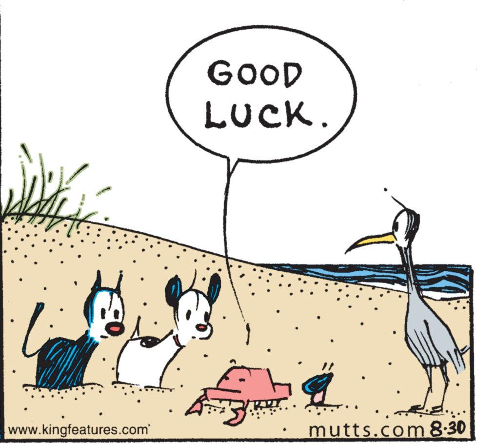 Line OCR: www.kingfeatures.com' GOOD LUCK. & mutts.com 8.30 www.kingfeatures.com ' GOOD LUCK . & mutts.com 8.30