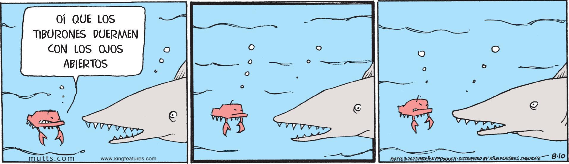 Art OCR: OÍ QUE LOS TIBURONES DUERMEN CON LOS OJOS ABIERTOS mutts.com www.kingfeatures.com e O € MUTYS © 2023 PATRICK MCDONNE||· DISTRIBUTED BY KING FEATURES SYNDICATE 8.10 OÍ QUE LOS TIBURONES DUERMEN CON LOS OJOS ABIERTOS mutts.com www.kingfeatures.com e O € MUTYS © 2023 PATRICK MCDONNE || · DISTRIBUTED BY KING FEATURES SYNDICATE 8.10