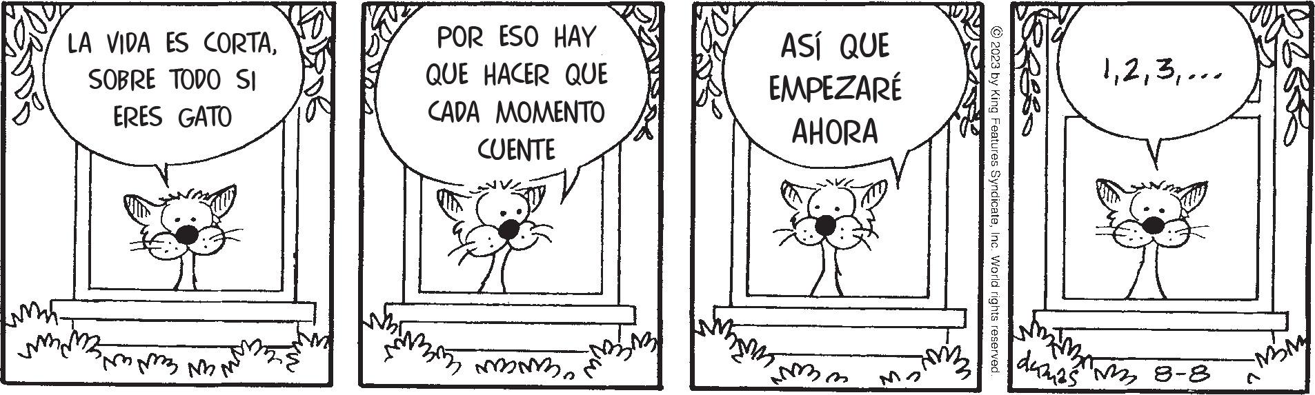 Happy OCR: LA VIDA ES CORTASOBRE TODO SI ERES GATO mmm mm POR ESO HAY QUE HACER QUE CADA MOMENTO CUENTE mmo ASÍ QUE EMPEZARÉ AHORA wym Amm 1... Idag ²2 8-8 M2MY LA VIDA ES CORTASOBRE TODO SI ERES GATO mmm mm POR ESO HAY QUE HACER QUE CADA MOMENTO CUENTE mmo ASÍ QUE EMPEZARÉ AHORA wym Amm 1... Idag ²2 8-8 M2MY